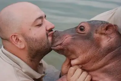 Discovery Channel - Animal Planet: Drug Kingpin Hippos (2014)