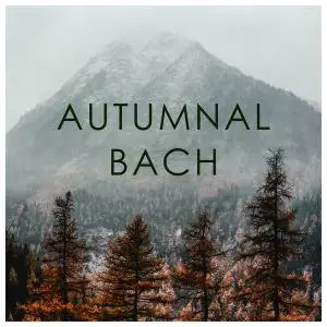 Johann Sebastian Bach - Autumnal Bach (2020)
