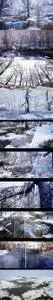 Unreal Engine – Winter Forest 4.27