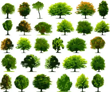 Trees Vector