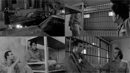 Down by Law (1986)