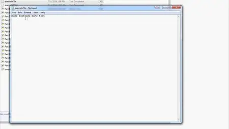 Python Programming for Beginners
