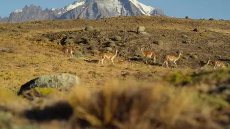 Our Great National Parks S01E02