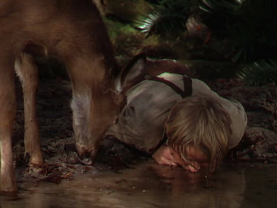 The Yearling (1946) - Clarence Brown