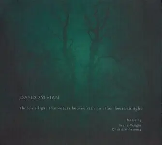David Sylvian - There's A Light That Enters Houses With No Other House In Sight (2014) {Samadhisound sound cd ss024}