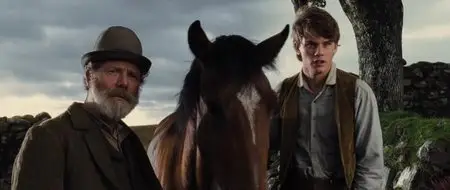War Horse (2011)