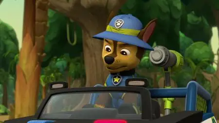 Paw Patrol S06E11