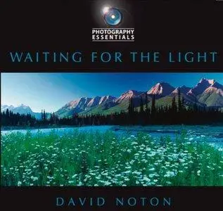 Photography Essentials: Waiting for the Light (repost)