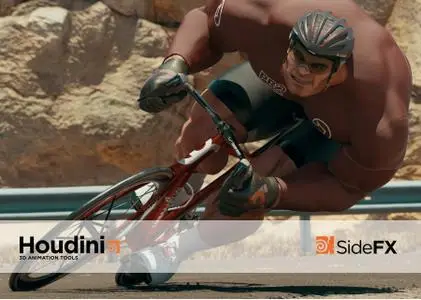 SideFX Houdini FX 18.5.351