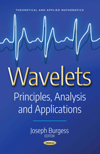 Wavelets : Principles, Analysis and Applications