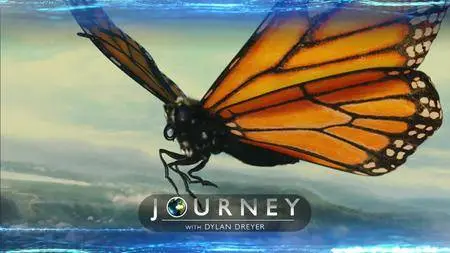 Journey with Dylan Dreyer S02E01