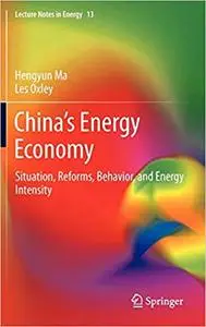 China’s Energy Economy: Situation, Reforms, Behavior, and Energy Intensity