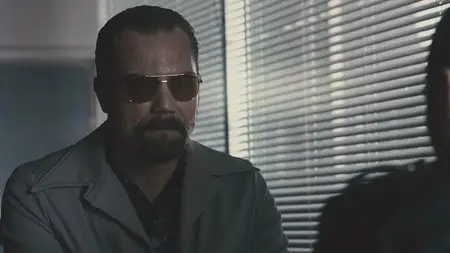The Iceman / Ледяной (2012)