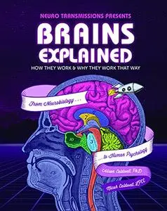 Brains Explained: How They Work & Why They Work That Way