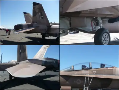 McDonnell-Douglas F/A-18B Hornet Walk Around