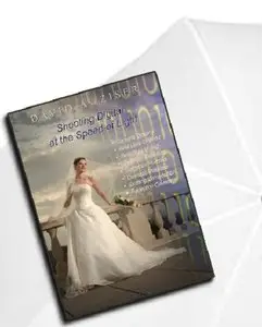 Ziser's Shooting Digital at the Speed of Light [repost]