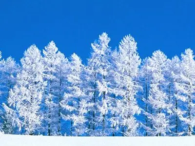 Wallpaper pack: Winter fantasy
