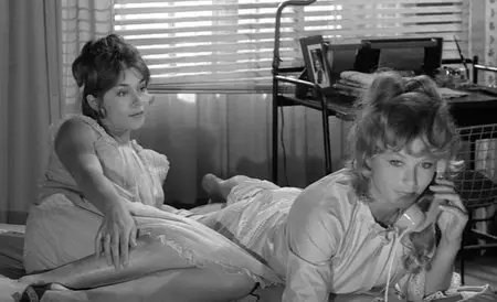 Adorable menteuse / Adorable Liar (1962)