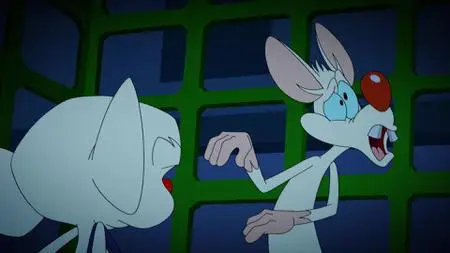 Animaniacs S02E06