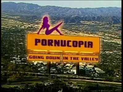 Pornucopia: Going Down in the Valley (2004) 