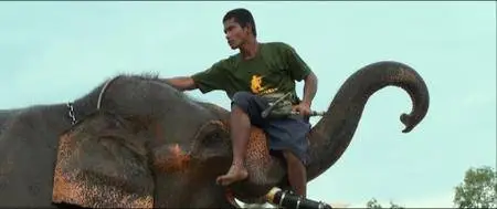 When Elephants Were Young (2016)