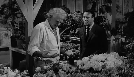 Blake Edwards - Days of Wine and Roses (1962)