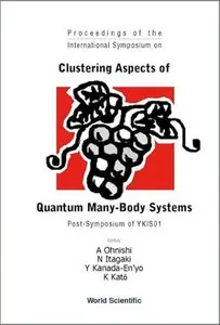 Clustering Aspects of Quantum Many-Body Systems (Repost)