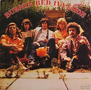 Burnin Red Ivanhoe - Best Of 1969-74 (1990)