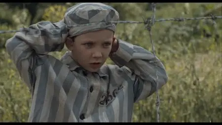 The Boy in the Striped Pajamas (2008)