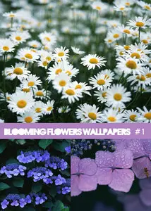 Blooming Flowers Wallpapers 1