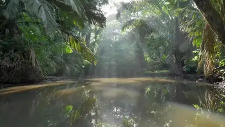 Terranoa - Costa Rica: Wildlife under the Rainbow (2018)