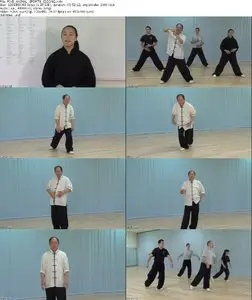 Five Animal Sports Qigong