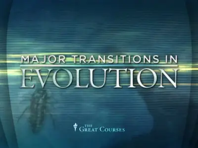 Major Transitions in Evolution