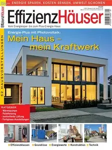 Effizienz Hauser - N° 4/2012