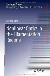 Nonlinear Optics in the Filamentation Regime (Repost)