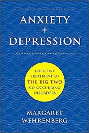 Anxiety + Depression: Effective Treatment of the Big Two Co-Occurring Disorders (Norton Professional Books)