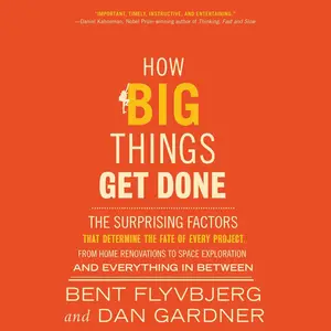 How Big Things Get Done: The Surprising Factors That Determine the Fate of Every Project