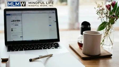 The Mindful Work Training: Purpose, Practices, Protocols