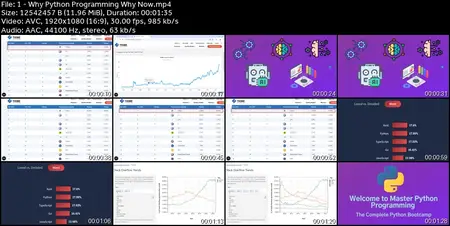 Master Python Programming in 2025: Zero to Expert in Python