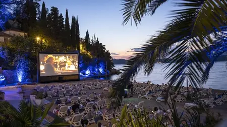 Financing & Pitching Auteur Films: From a Cannes Filmmaker