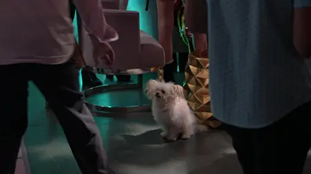 Modern Family S10E14