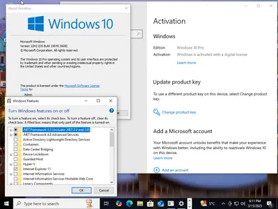 Windows 11 24H2 (No TPM Required) & Windows 10 22H2 AIO 32in1 With Office 2024 Pro Plus Multilingual Preactivated March 2025