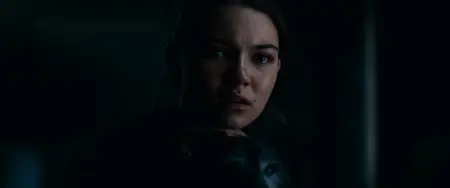 Coyotes (2025)