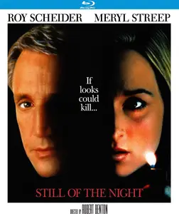 Still of the Night (1982)