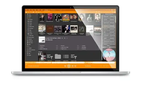 MediaMonkey Gold 2024.2.0.3184 Multilingual Portable