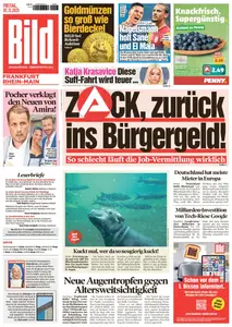 Bild Frankfurt - 7 November 2025