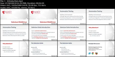 Selenium WebDriver with Java & Cucumber BDD