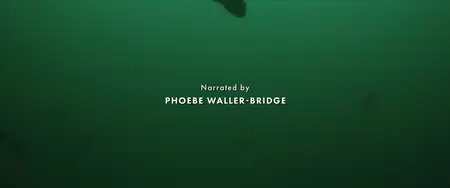 Octopus! S01E01