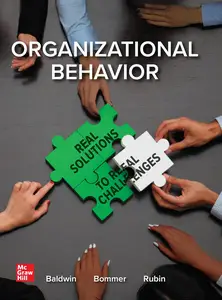Organizational Behavior: Real Solutions to Real Challenges, 3rd Edition