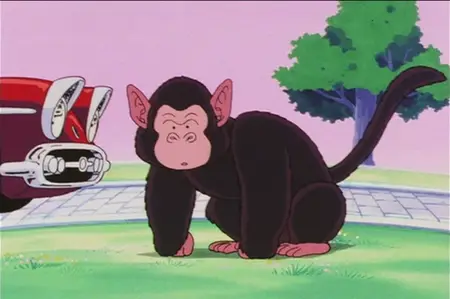Dragon Ball Z S02E16 Back from the Brink of Death — The Miracle Man, Vegeta SD DVD